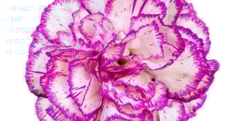 related post image