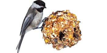 related post image